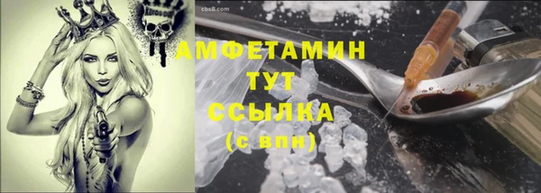крисы Аркадак