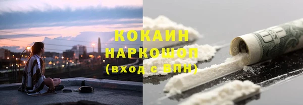 ешки Арсеньев