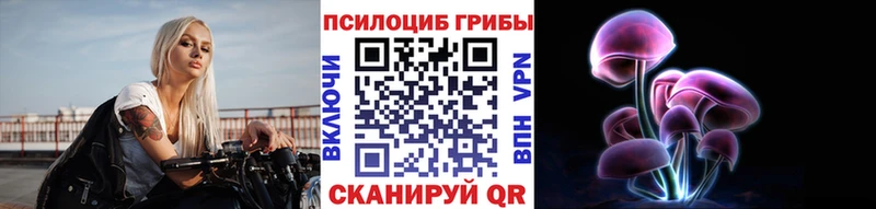 Псилоцибиновые грибы Psilocybine cubensis  OMG зеркало  Сенгилей 