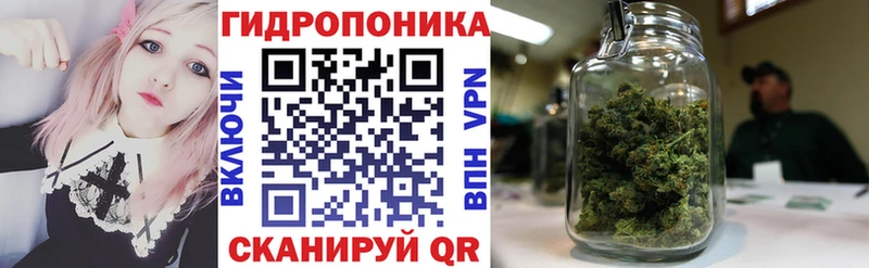 купить закладку  Сенгилей  Бошки марихуана план 
